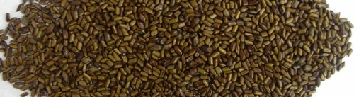 Cassia Tora Split & Powder