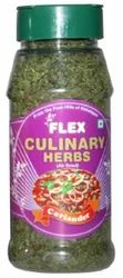 Culinary Herbs Coriander