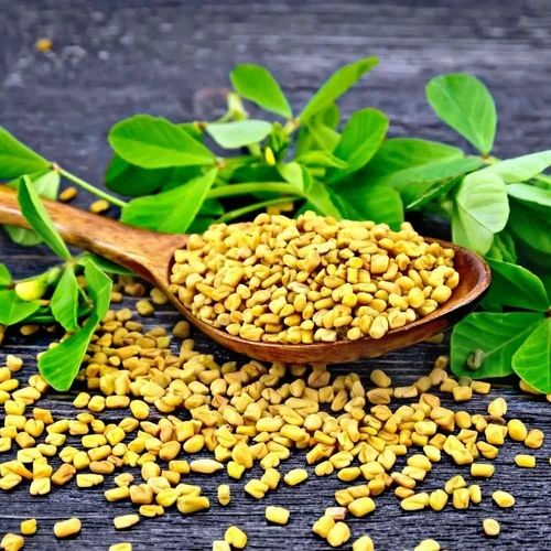 Pure Crop Organic Fenugreek Seed, Packaging Size: 25 KG