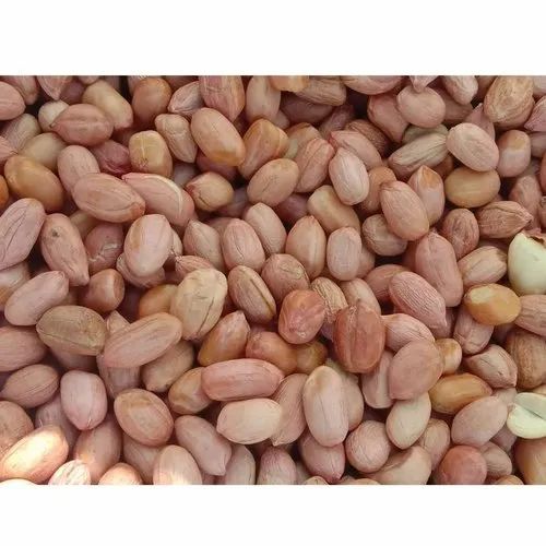 Java Type Groundnut, Packaging Type: Gunny Bag