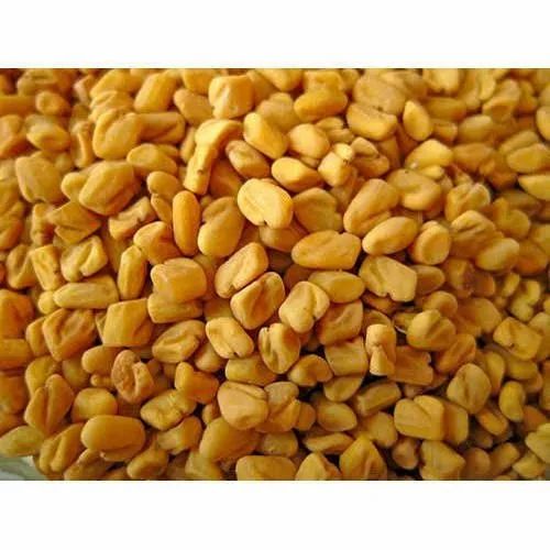 Yellow gold Whole Organic Fenugreek Seed, Packaging: Packet, Packaging Size: 25kg,50kg