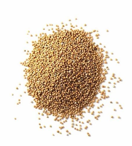 Mustard Seeds