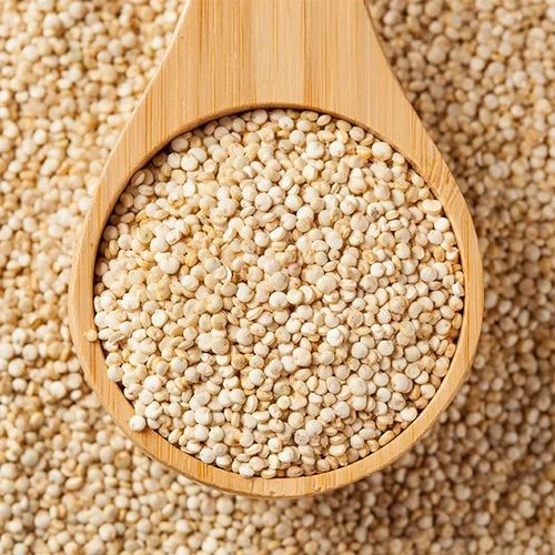 Bold Quinoa Seed, For Human Consumption