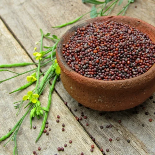 Brown Red Mustard Seed Bold Sortex, Packaging Size: 100g