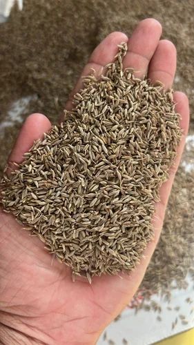 Organic Cumin Seed, Whole Seeds, 25 kg