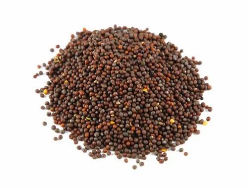 Mustard Black Seeds, 50 Kg