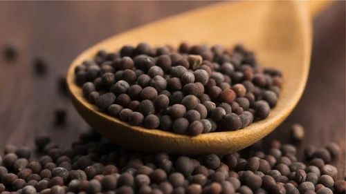 Mustard Seed Brown, Packaging Size: 50 kg