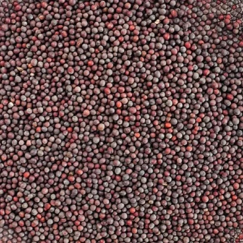 Black Brown Mustard Seeds, Small