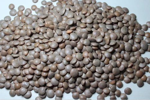 Bold Sabut Masoor Dal