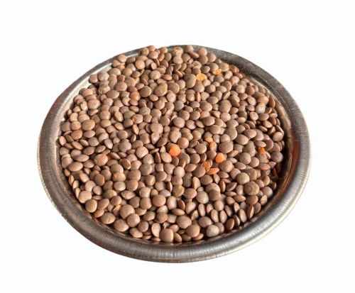 Medium Sabut Masoor Dal