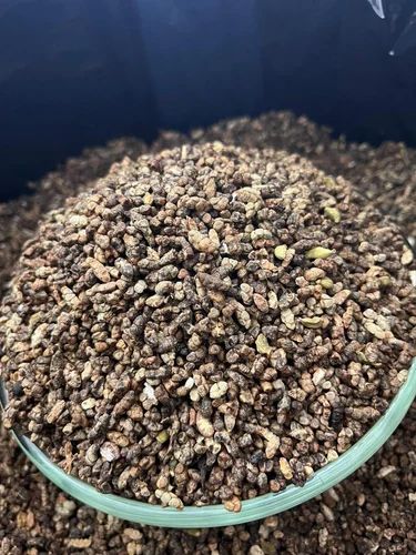 Cluster Green Cardamom Seed