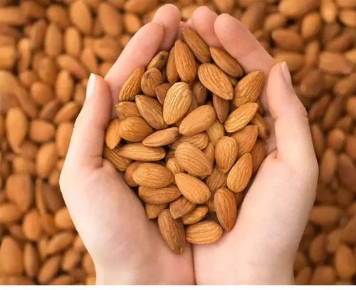 Fresh Almond Nut, Packed
