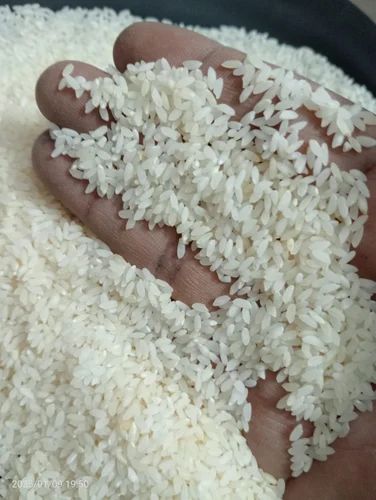 Aromatic Gobindobhog Rice, Packaging Type: PP Bag, 50 Kg
