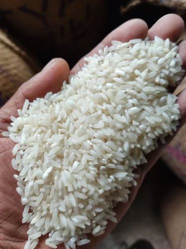 Premium Raw Swarna Rice Sortex Cleaned Long Grain Bulk Supply, 50 Kg, Packaging Type: PP Bag