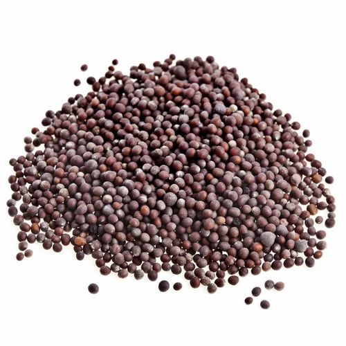 Organic Brown Mustard Seeds