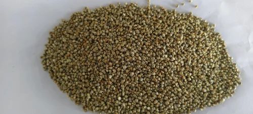 Indian Go Earth Organic Oragnic Bajari / Millet