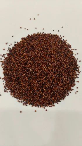 Organic Ragi Millets