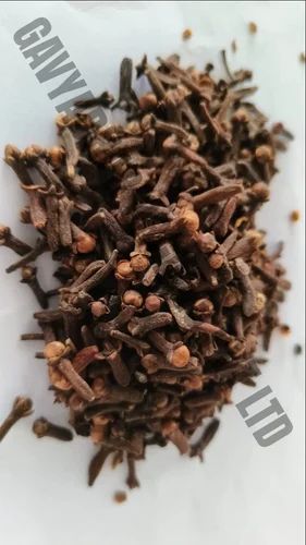 GO EARTH Organic Clove Seeds, Packaging Type: PP Bag, Packaging Size: 10 Kg