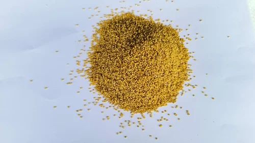 Organic Foxtail Millet