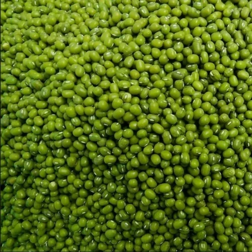 Vinayak Moong Green Mung Beans, High in Protein, Packaging Size: 20kg
