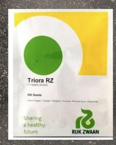Rijk Zwaan Hybrid Sweet Pepper Seeds Triora Rz 500 Seeds
