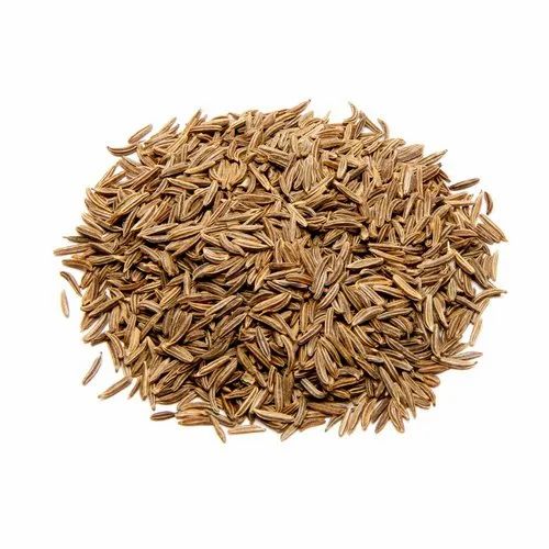 Caraway Seed