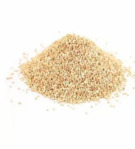 Quinoa Seeds