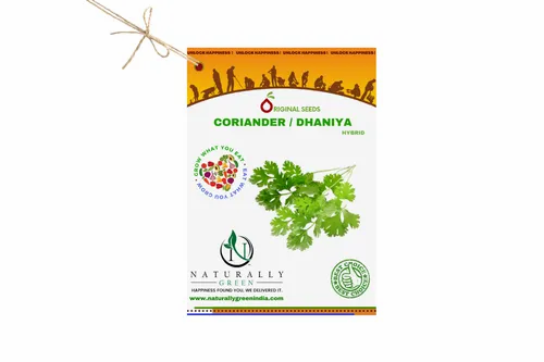 Hybrid Green Ng Coriander 100 Seeds, For Gardening, Packaging Size: .20gm