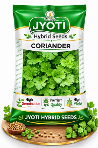 Jyoti Hybrid Coriander Seeds, 500 g