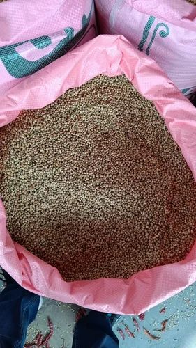 Maharaja Coriander seeds