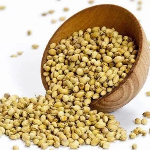 Brown Hybrid Coriander Seed