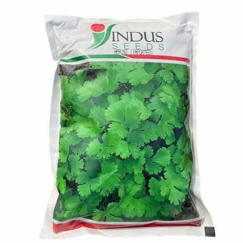 Indus Hybrid Coriander Seed, 500 gm