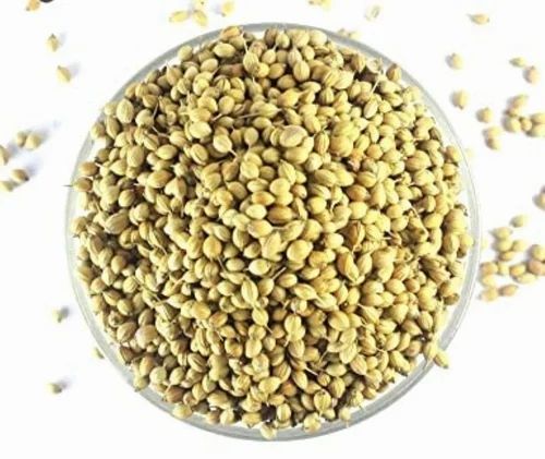 Coriander Seeds distributor, Packaging Type: PP Bag
