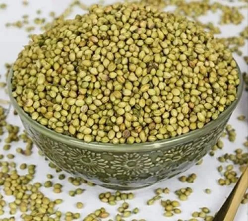 Green Hybrid Coriander Seed
