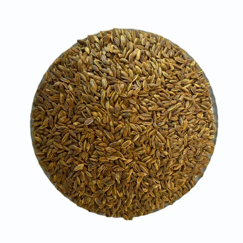 Roasted Dill Seeds, A Grade, Whole