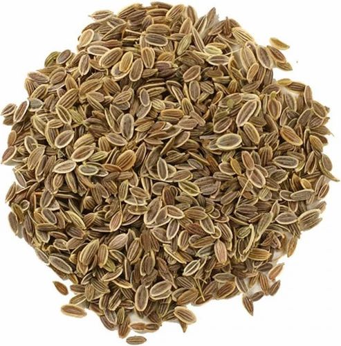 Machine Cleaned Natural Whole Dill Seeds (99.9% Purity)