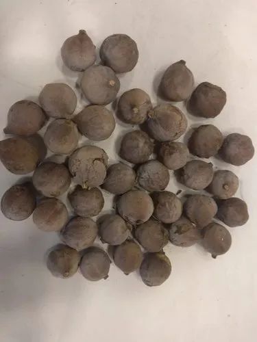 Dried Thandrikaki Nuts