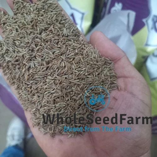 Jeera Kishani Maal,Cumin Seed, Rawquality, Whole, farm grade