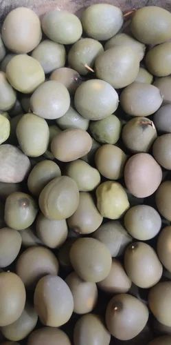 Karanjwa Seeds ( Indian beech seeds), 500g And 1kg