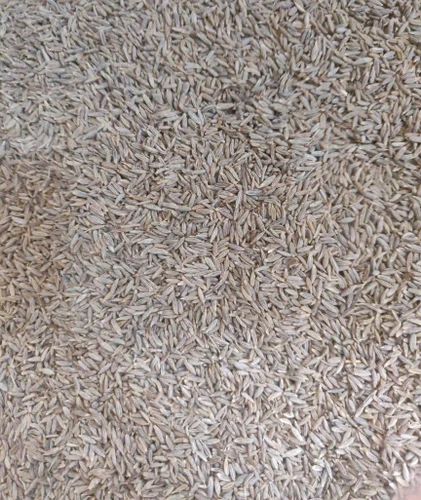 White Cumin Seeds, Packaging Type: Loose