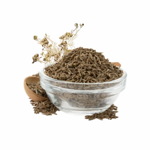 Cumin Seed Jeera Whole, Packaging Size: 10 Kg, Packaging Type: PP Bag