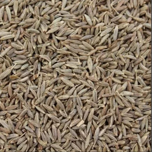 Cumin Seed Jeera, 25 Kg