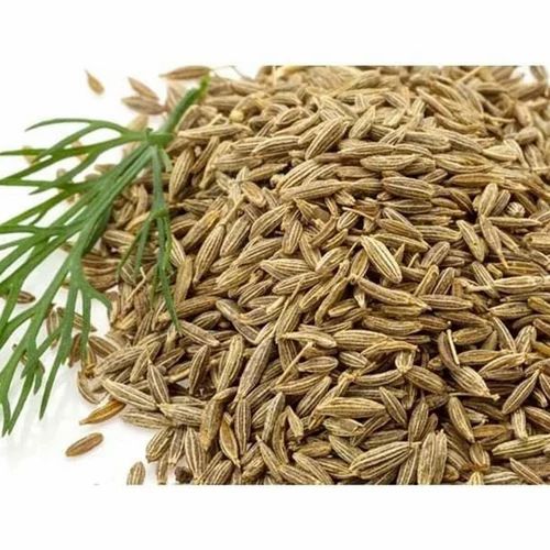 White Cumin Seed, Whole