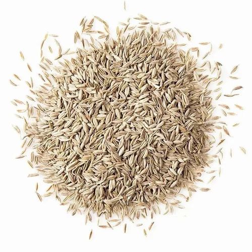 Gulf Quality White Cumin Seeds