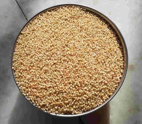 Unpolished Little Millet, Grains