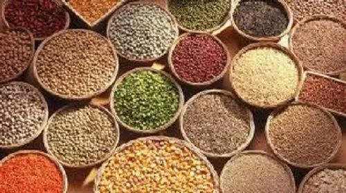 Indian Organic Food Grains, High in Protein