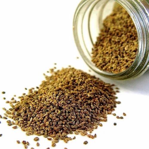 SHIVAY Celery Seed Extarct, Packaging Size: 1 Kg