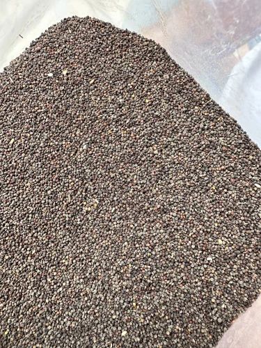 Himalayan Jakhya Wild Mustard, Packaging Type: Packet