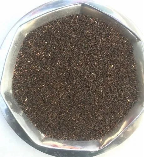 Jakhya Seeds