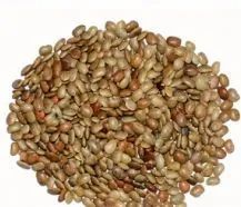 Gahat Lentils